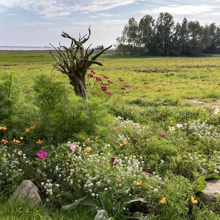 Moritz - Oestlich Der Dorfstrasse In Insel Hiddensee